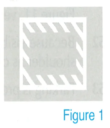 Figure 1: no-stopping zone pavement marking