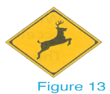 Figure 13: yellow diamond, animal crossing