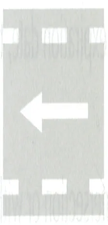 Japanese licence-test illustration: Pavement marking: straight-through arrows