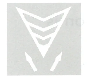 Japanese road sign: Pavement marking: V-shape obstruction marker