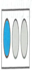 Japanese licence-test illustration: Signal: blue light + circles